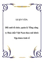 Luận văn đổi mới tổ chức, quản lý tổng công ty hoá chất việt nam theo mô hỡnh tập đoàn kinh tế