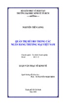 Luận văn thạc sĩ kinh tế quản trị rủi ro trong các ngân hàng thương mại việt nam   tài liệu, ebook, giáo trình