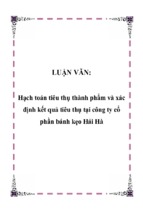 Hạch toán tiêu thụ thành phẩm và xác định kết quả tiêu thụ tại công ty cổ phần bánh kẹo hải hà