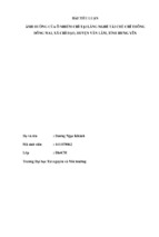 ảnh hưởng của ô nhiễm chì tại làng nghề tái chế chì thông đông mai, xã chỉ đạo, huyện văn lâm, tỉnh hưng yên