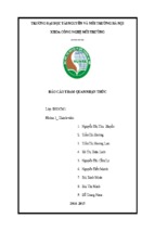 Báo cáo tham quan nhận thức tại nhà máy xử lí nươc thải khu công nghiệp khai quang