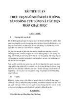 Tiểu luận thực trạng ô nhiễm đất ở đồng bằng sông cửu long và các biện pháp khắc phục