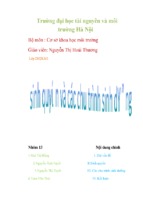 Tiểu luận sinh quyển và các chu trình sinh dưỡng