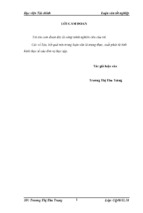 đánh giá thực trạng tài chính và các giải pháp nhằm cải thiện tình hình tài chính tại công ty cổ phần thép việt   ý