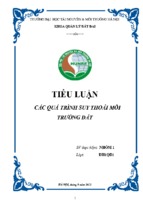 Tiểu luận các quá trình suy thoái môi trường đất