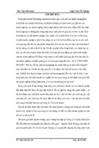 Vốn kinh doanh và các giải pháp tài chính chủ yếu nâng cao hiệu quả tổ chức sử dụng vốn kinh doanh tại công ty cổ phần bánh kẹo hải hà