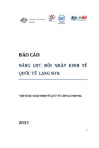 Báo cáo năng lực hội nhập kinh tế lạng sơn