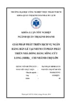 Giải pháp phát triển dịch vụ ngân hàng bán lẻ tại ngân hàng thương mại cổ phần phát triển nhà đồng bằng sông cửu long, chi nhánh chợ lớn (2)