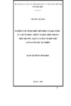Luận án tiến sĩ hóa học nghiên cứu tính chất điện hóa và khả năng ức chế ăn mòn thép cacbonluận án tiến sĩluận án tiến sĩ