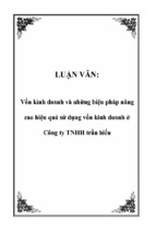 Vốn kinh doanh và những biện pháp nâng cao hiệu quả sử dụng vốn kinh doanh ở công ty tnhh trần hiếu