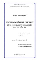 Kinh tế hoạch định chiến lược phát triển tổng công ty lương thự miền nam đến năm 2015   tài liệu, ebook, giáo trình