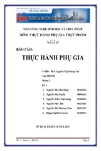 Báo cáo thực hành phụ gia