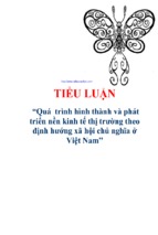 Tiểu luận quá trình hình thành và phát triển nền kinh tế thị trường theo định hướng xã hội chủ nghĩa ở việt nam