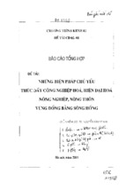 Những biện pháp chủ yếu thúc đẩy công nghiệp hóa, hiện đại hóa nông nghiệp, nông thôn vùng đồng bằng sông hồng