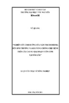 Luận văn thạc sĩ nông nghiệp nghiên cứu ảnh hưởng của nấm trichoderma đến sinh trưởng và khả năng chống chịu bệnh trên cây cao su giai đoạn vườn ươm tại đăk lăk