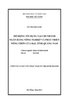 Luận văn thạc sĩ mở rộng tín dụng tại chi nhánh ngân hàng nông nghiệp và phát triển nông thôn cửa đại, tỉnh quảng nam