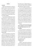 Nghiên cứu hệ thống tài khoản kế toán áp dụng trong các doanh nghiệp sản xuất   kinh doanh ở việt nam (tt)