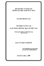 Luận văn thạc sĩ sáp nhập và mua lại ngân hàng thương mại tại việt nam