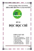 Tiểu luận độc học chì