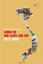 Dân số và phát triển tại việt nam hướng tới một chiến lược mới, 2011 2020