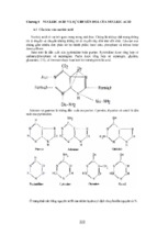 Nucleic acid và sự chuyển hoá của nucleic acid