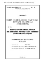 Nghiên cứu đặc điểm lâm sàng, chẩn đoán hình ảnh và kết quả phẫu thuật u não tế bào hình sao (astrocytoma) vùng bán cầu đại não