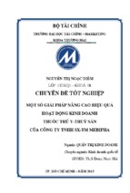 Một số giải pháp nâng cao hiệu quả hoạt động kinh doanh thuốc thú y   thủy sản của công ty tnhh sx tm mebipha [full]