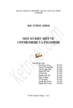 Một số hiểu biết về centromere và telomere