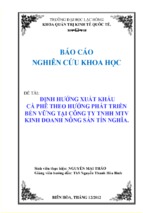 định hướng xuất khẩu cà phê theo hướng phát triển bền vững tại công ty tnhh mtv kinh doanh nông sản tín nghĩa