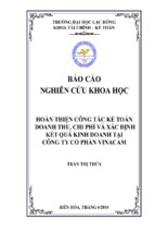 Hoàn thiện công tác kế toán doanh thu chi phí và xác định kết quả kinh doanh tại công ty cổ phần vinacam