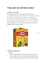 Công nghệ sản xuất bánh cracker