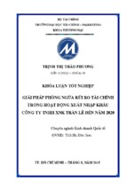 Giải pháp phòng ngừa rủi ro tài chính trong hoạt động xuất nhập khẩu công ty tnhh xnk trần lê đến năm 2020