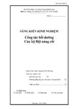 Skkn công tác bồi dưỡng cán bộ đội nòng cốt