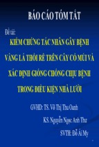 Báo cáo tóm tắt kiểm chứng tác nhân gây bệnh vàng lá thối rễ trên cây có múi và xác định giống chống chịu bệnh trong điều kiện nhà lưới