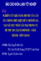 Báo cáo khóa luận tốt nghiệp  nghiên cứu khả năng đền bù của cây lúa trong điều kiện hủy chồi để giả tạo sâu đục thân gây hại trong vụ hè thu 2011 tại xã điềm hy   châu thành   tiền giang