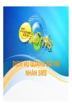 Dịch vụ quảng bá tin nhắn sms