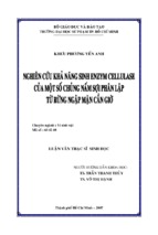 Nghiên cứu khả năng sinh enzym cellulase của một số chủng nấm sợi phân lập từ rừng ngập mặn Cần Giờ