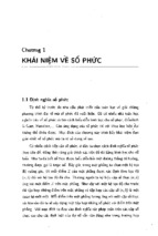 ứng dụng số phức vào giải toán hình học phẳng ( nguyễn hữu điển )