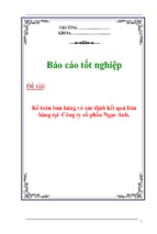 Kế toán bán hàng và xác định kết quả bán hàng tại  công ty cổ phần ngọc anh.