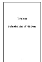 Tiểu luận phân tích kinh tế việt nam