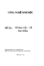 Tế bào gốc   tế bào mầm