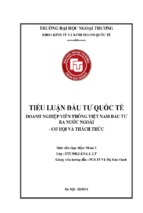 Tiểu luận đầu tư quốc tế doanh nghiệp viễn thông việt nam đầu tư ra nước ngoài   cơ hội và thách thức