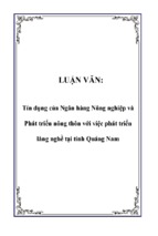 Báo cáo luận văn tín dụng của ngân hàng nông nghiệp và phát triển nông thôn với việc phát triển làng nghề tại tỉnh quảng nam