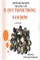 Thuyết trình nhóm    quy trình trồng nấm rơm