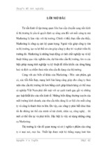 Những giải pháp hoàn thiện hệ thống mạng lưới bán hàng sản phẩm của công ty tnhh việt thắng