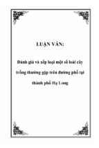 Báo cáo đánh giá và xếp loại một số loài cây trồng thường gặp trên đường phố tại thành phố hạ long