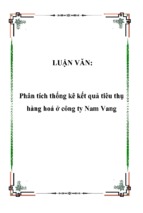 Báo cáo phân tích thống kê kết quả tiêu thụ hàng hoá ở công ty nam vang