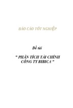 Phân tích tài chính công ty bibica 