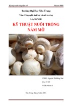 Kỹ thuật nuôi trồng nấm mỡ