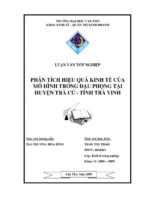 Phân tích hiệu quả kinh tế của mô hình trồng đậu phộng tại huyện trà cú tỉnh trà vinh